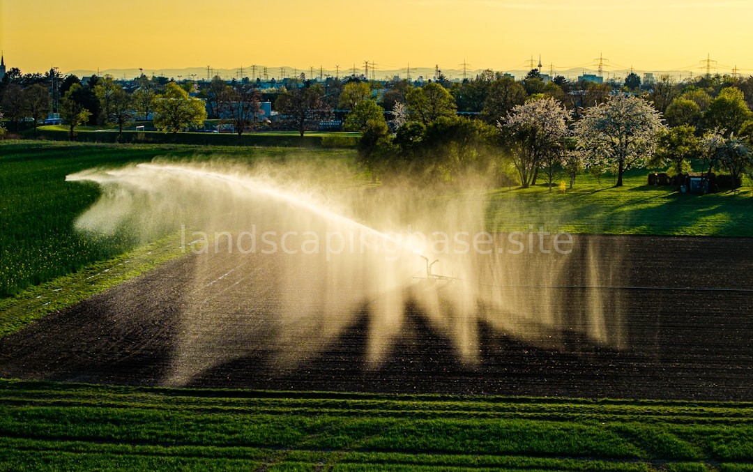Landscape Design