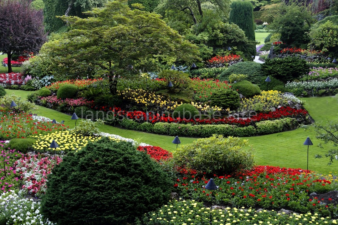 Landscape Design