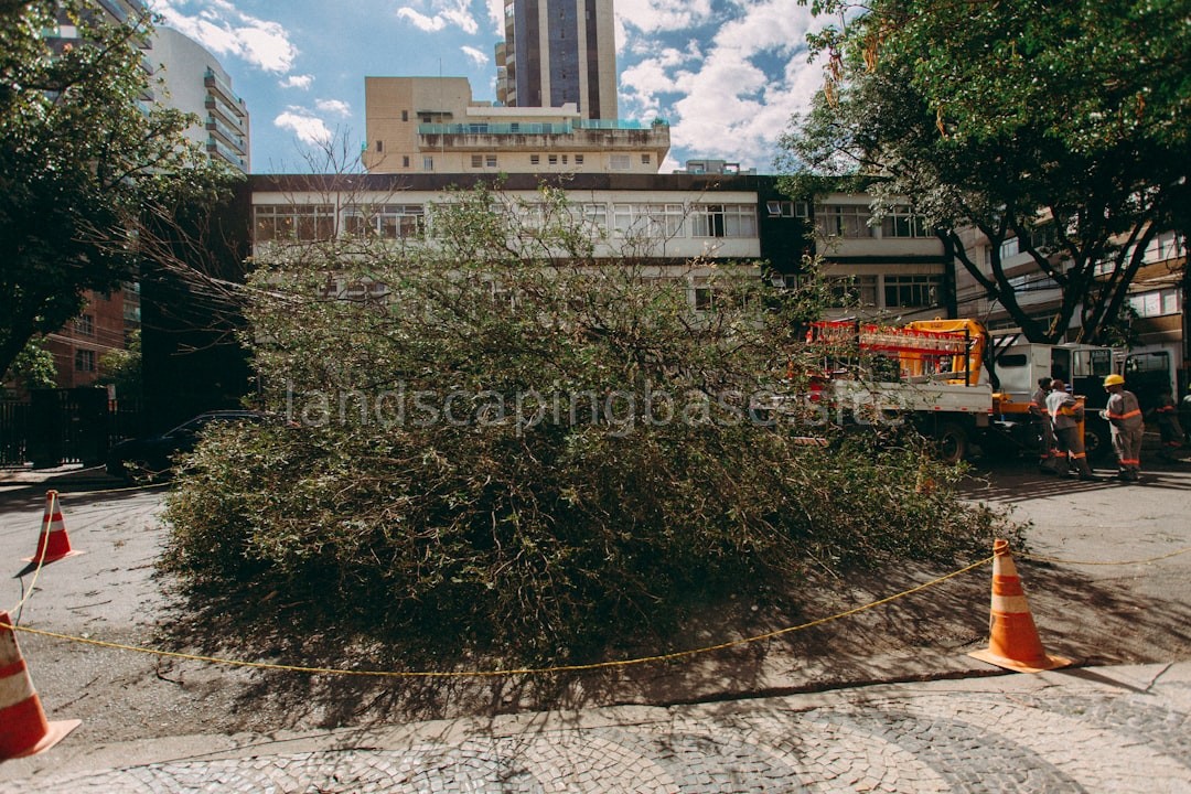 Tree Care Specialist